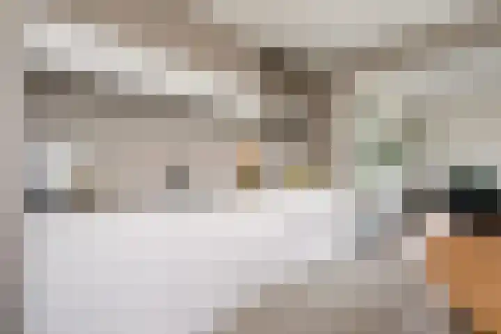 Sartreweg 182 Utrecht thumbnail 18