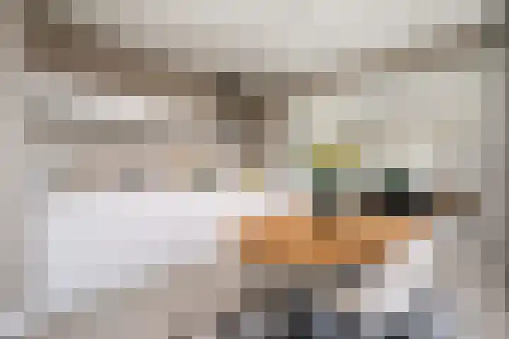 Sartreweg 182 Utrecht thumbnail 19