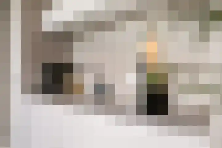 Sartreweg 182 Utrecht thumbnail 20