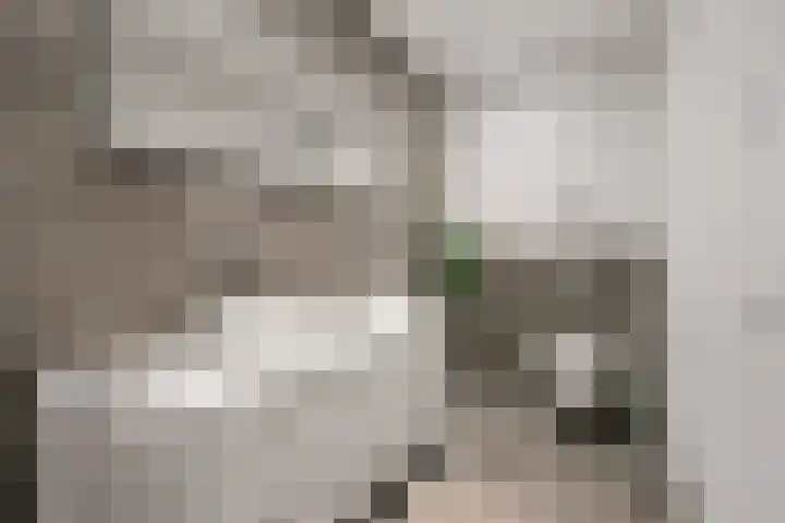 Sartreweg 182 Utrecht thumbnail 37