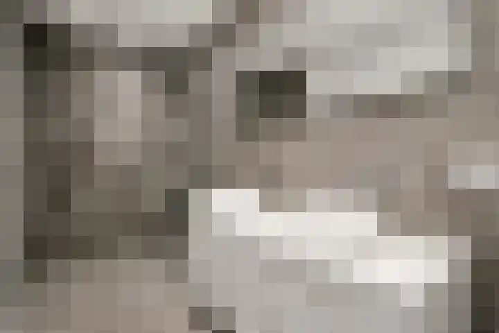 Sartreweg 182 Utrecht thumbnail 38