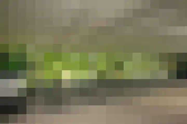 Sartreweg 182 Utrecht thumbnail 40