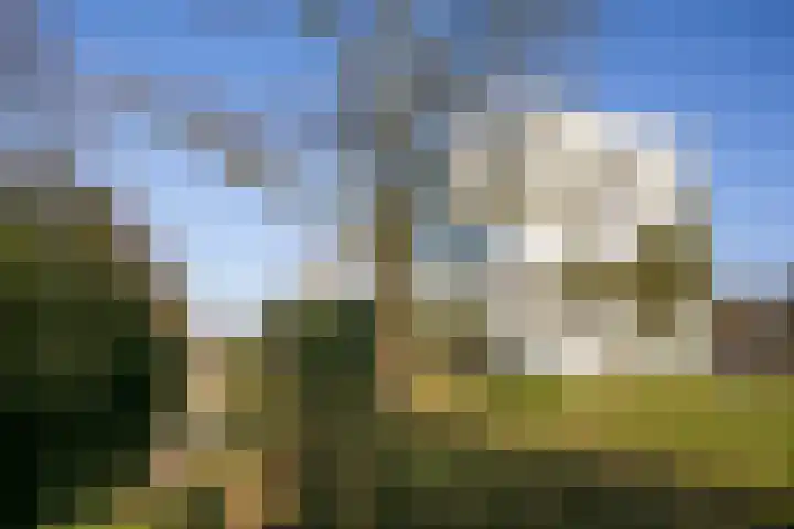 Sartreweg 182 Utrecht thumbnail 8