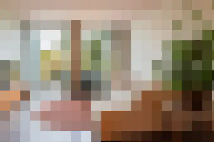 Sartreweg 196 Utrecht thumbnail 12
