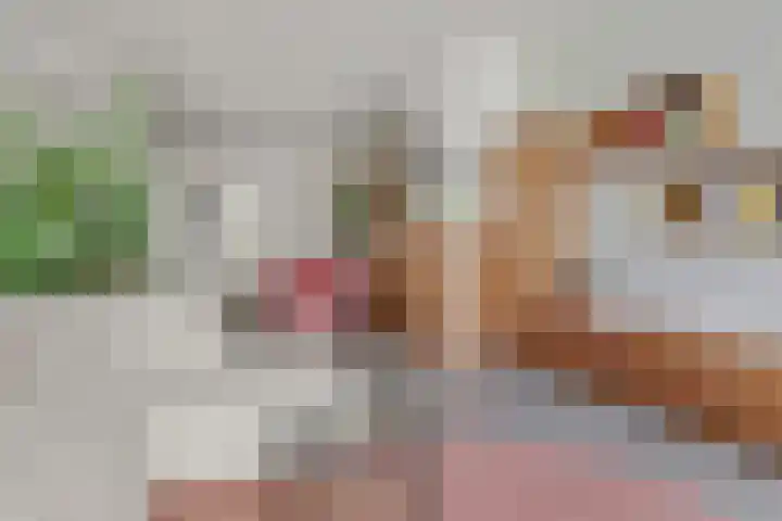 Sartreweg 196 Utrecht thumbnail 18
