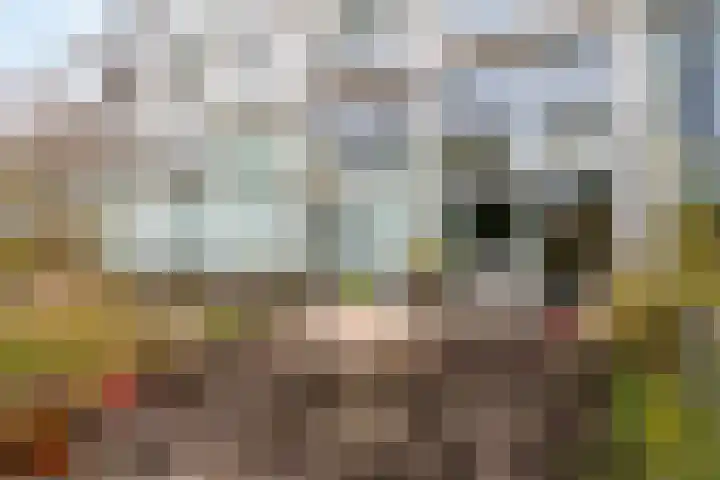 Sartreweg 196 Utrecht thumbnail 30