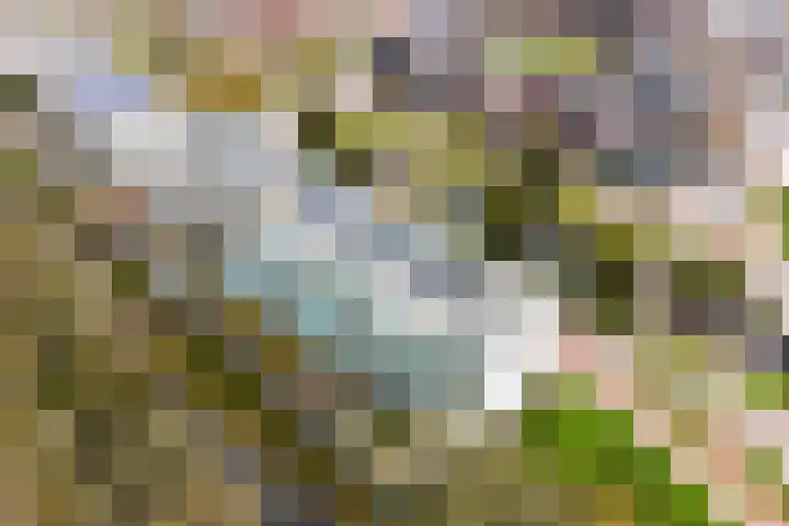 Sartreweg 196 Utrecht thumbnail 36