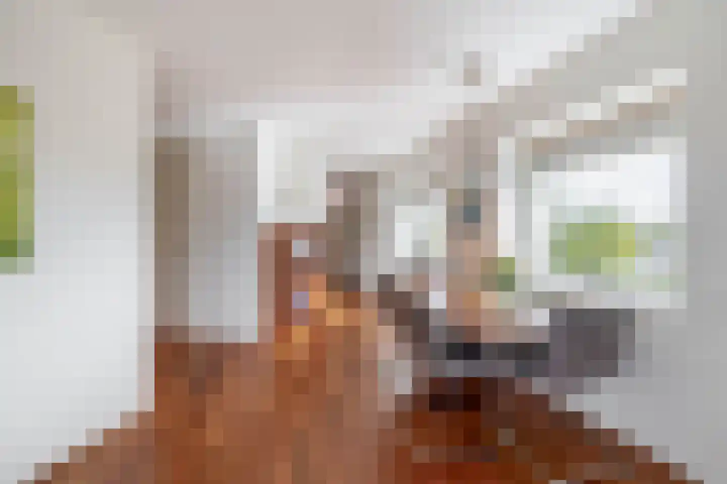 Sartreweg 30 Utrecht thumbnail 21