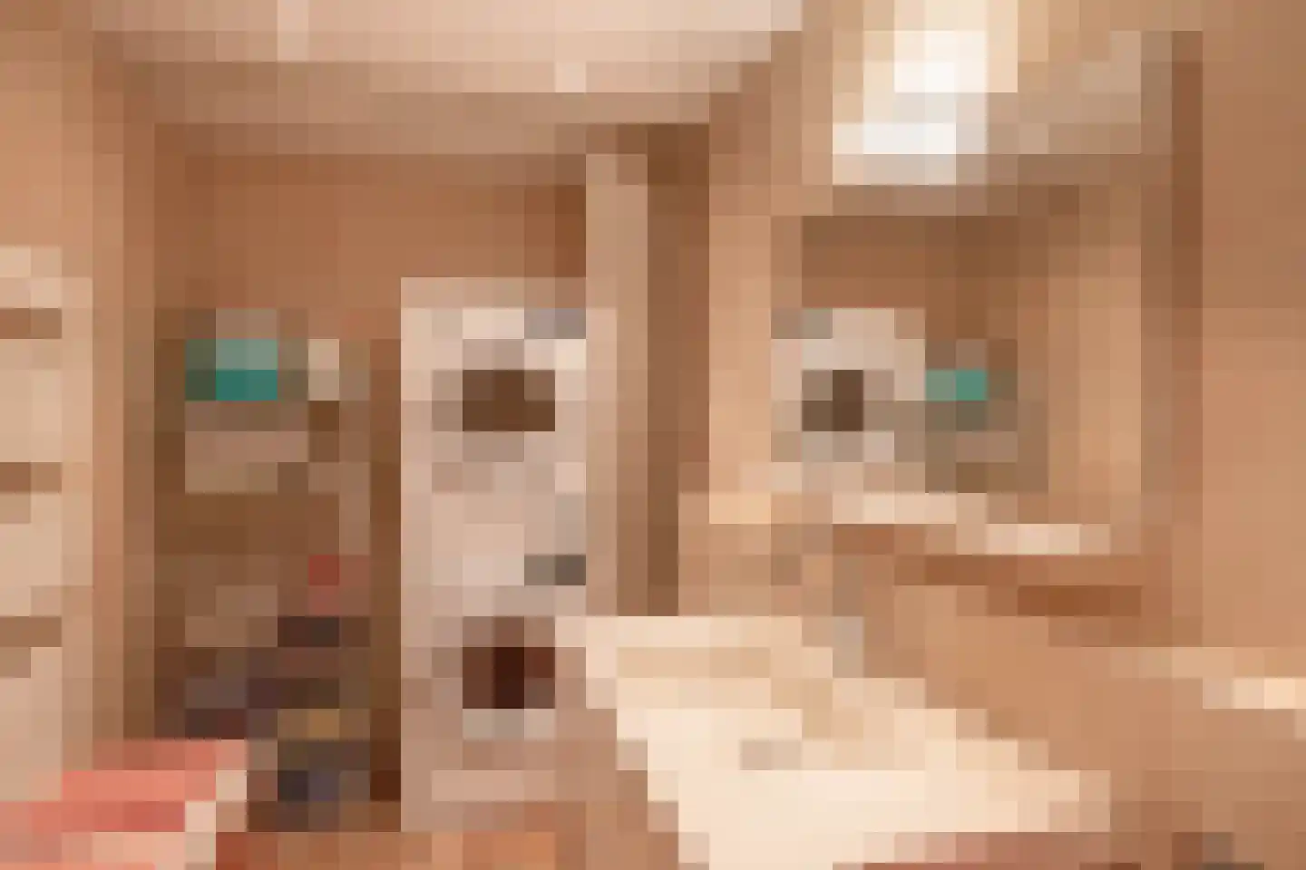 Sartreweg 30 Utrecht thumbnail 34