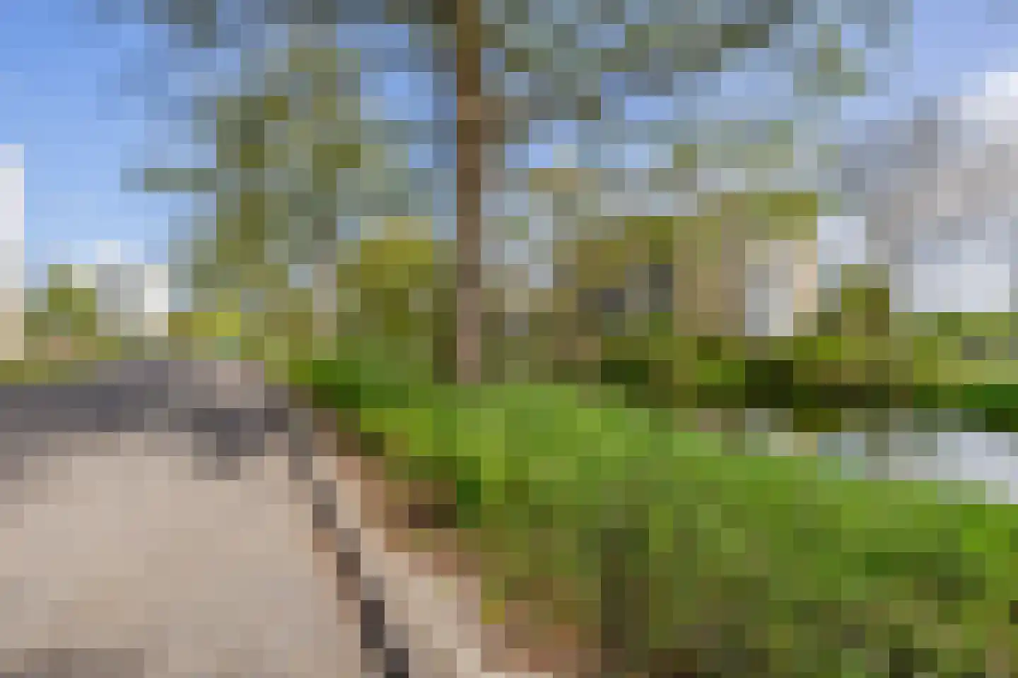 Sartreweg 30 Utrecht thumbnail 6