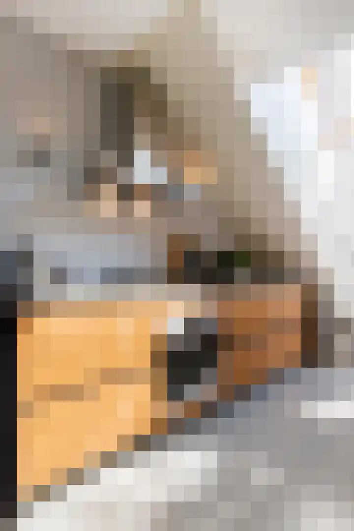 Sartreweg 43 Utrecht thumbnail 10