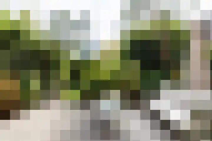 Sartreweg 43 Utrecht thumbnail 12