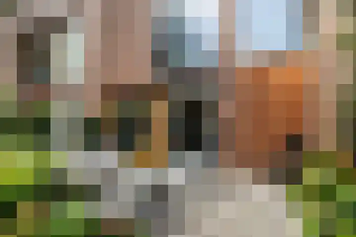 Sartreweg 43 Utrecht thumbnail 13