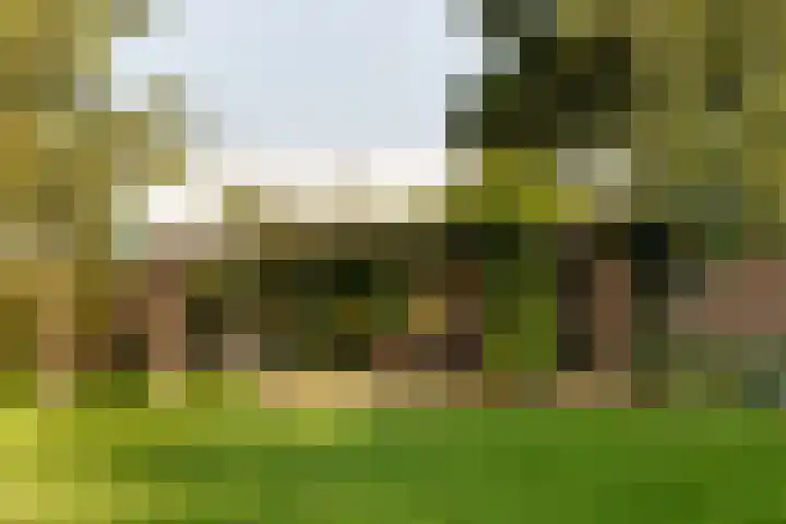Sartreweg 43 Utrecht thumbnail 15