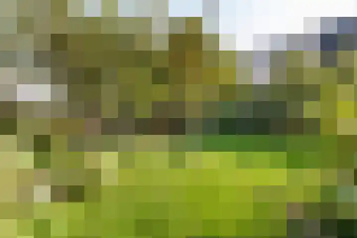 Sartreweg 43 Utrecht thumbnail 16