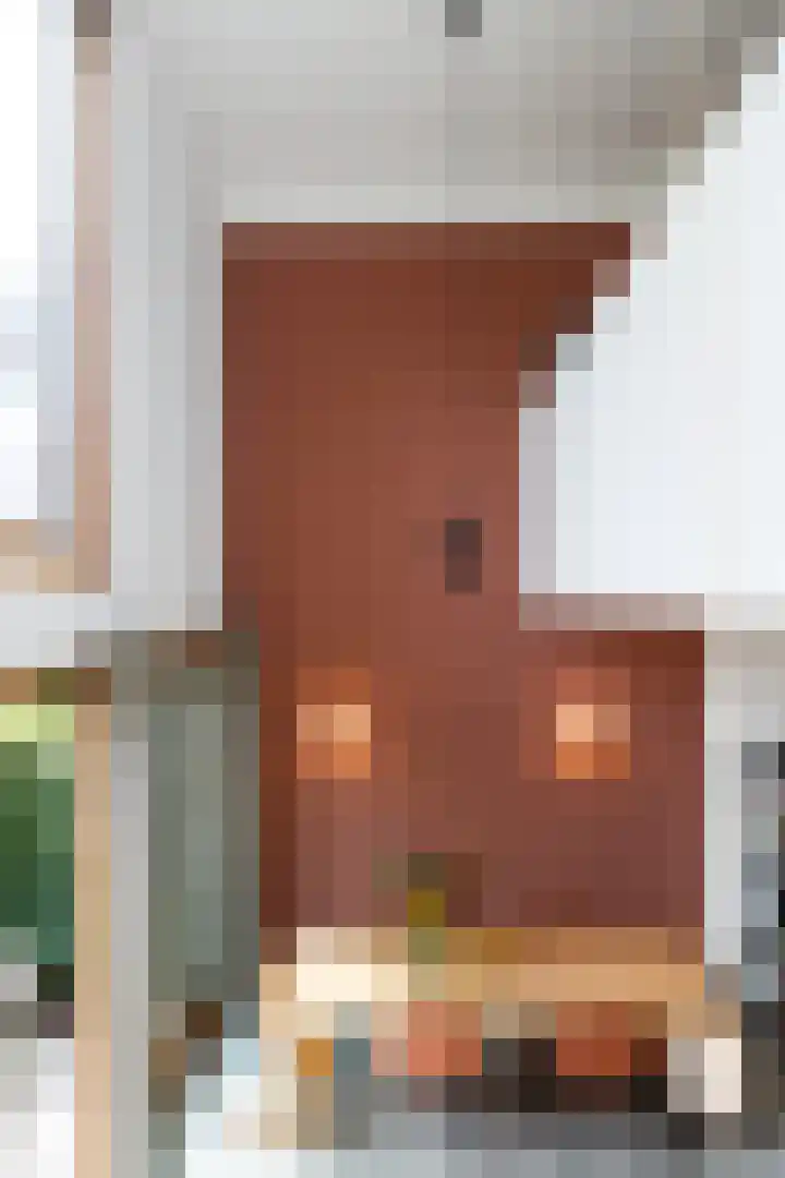 Sartreweg 43 Utrecht thumbnail 19