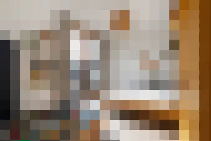 Sartreweg 43 Utrecht thumbnail 30