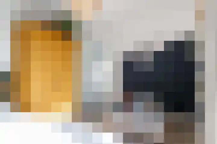 Sartreweg 43 Utrecht thumbnail 31