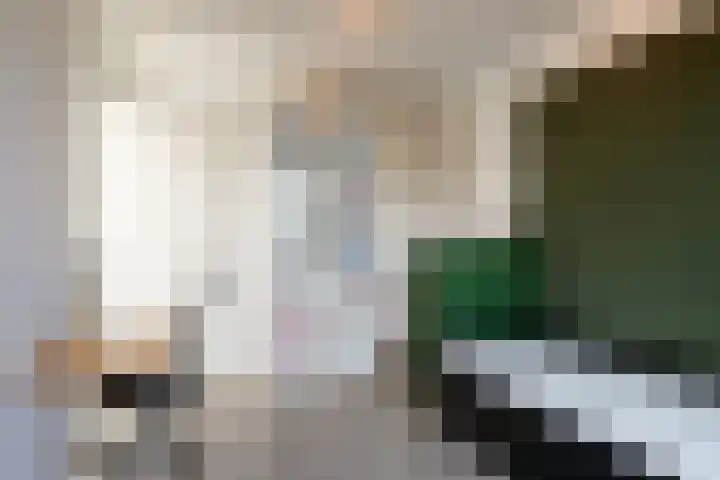 Sartreweg 43 Utrecht thumbnail 38