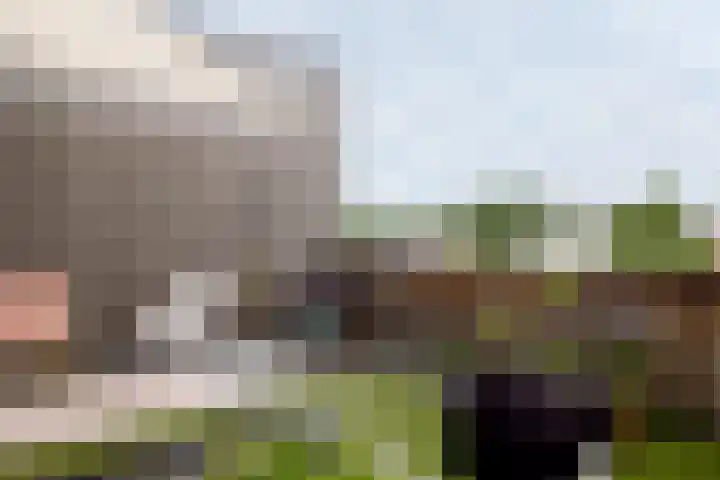Sartreweg 43 Utrecht thumbnail 40