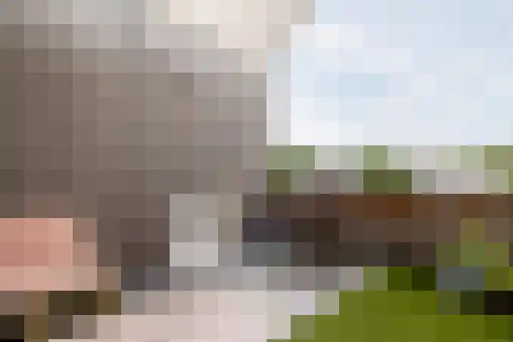 Sartreweg 43 Utrecht thumbnail 41