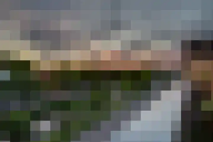 Sartreweg 43 Utrecht thumbnail 44