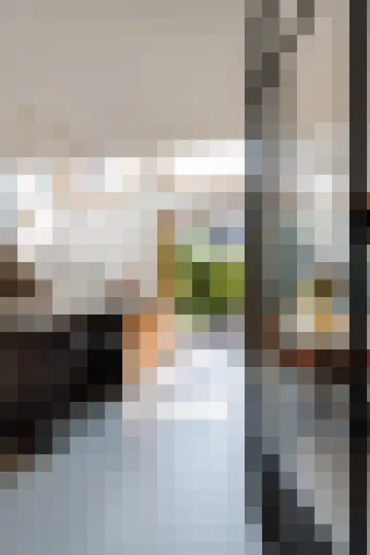Sartreweg 43 Utrecht thumbnail 45