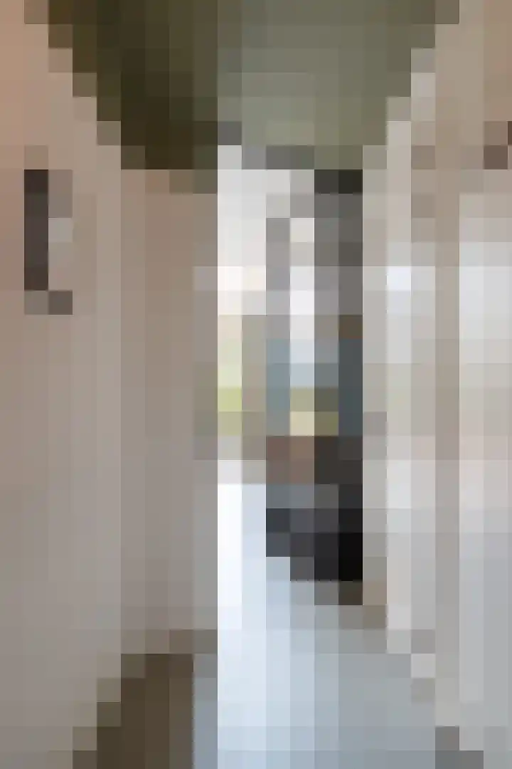 Sartreweg 43 Utrecht thumbnail 46