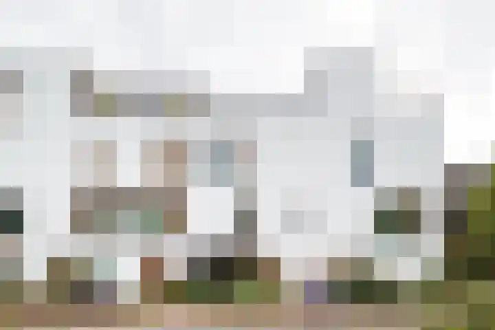 Sartreweg 43 Utrecht thumbnail 48