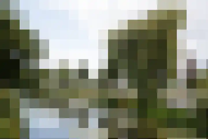 Sartreweg 43 Utrecht thumbnail 49