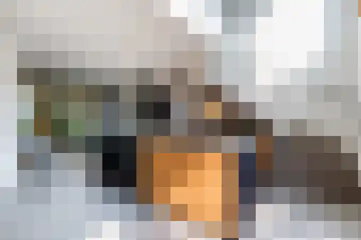 Sartreweg 43 Utrecht thumbnail 5