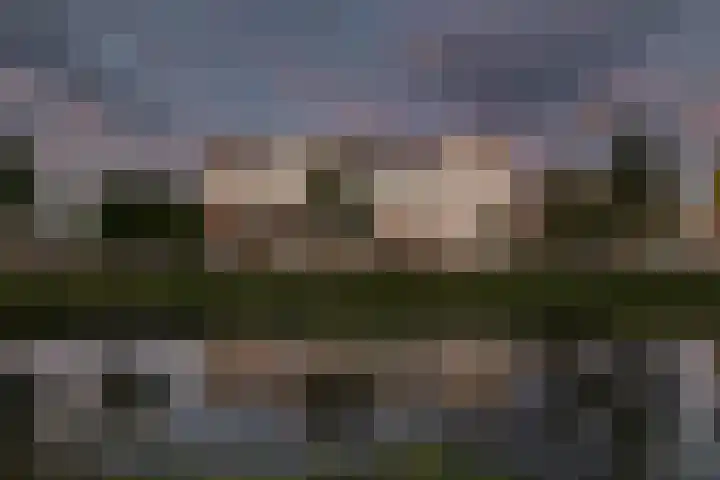 Sartreweg 43 Utrecht thumbnail 50