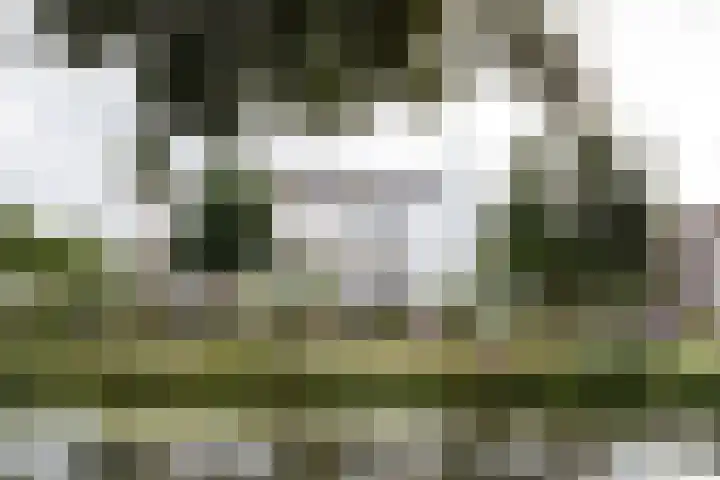 Sartreweg 43 Utrecht thumbnail 57