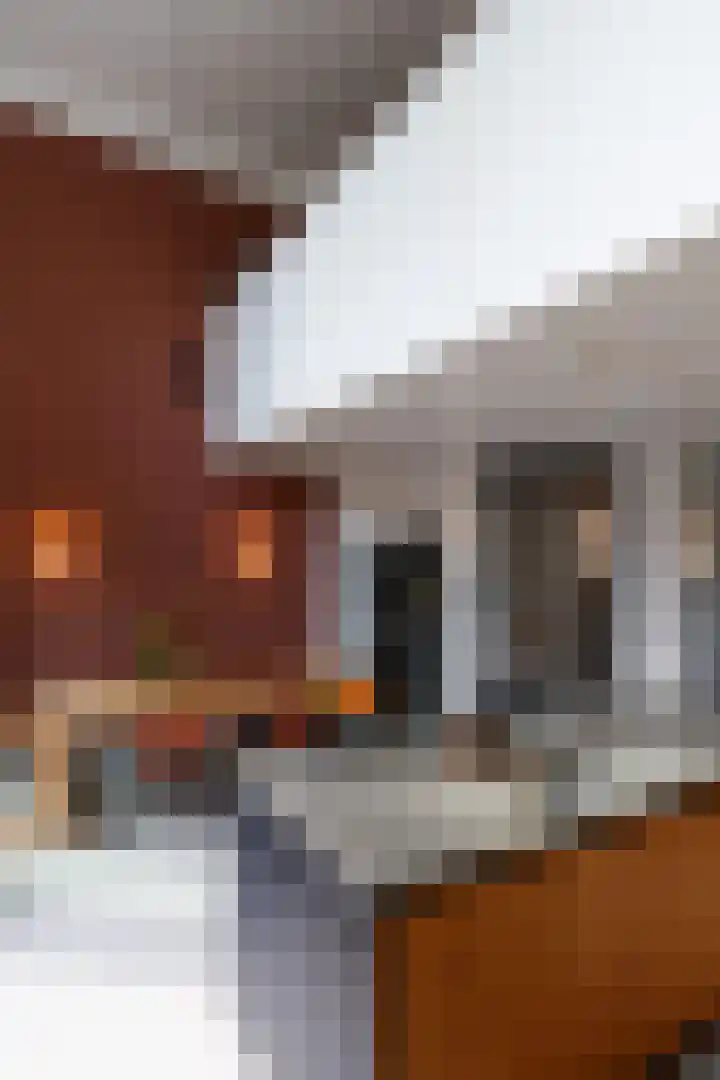 Sartreweg 43 Utrecht thumbnail 6
