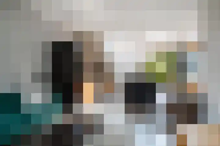Sartreweg 43 Utrecht thumbnail 8