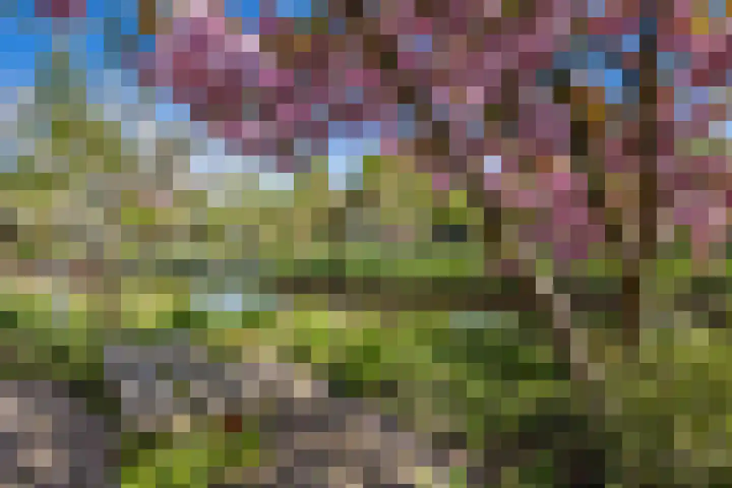 Sartreweg 54 Utrecht thumbnail 21
