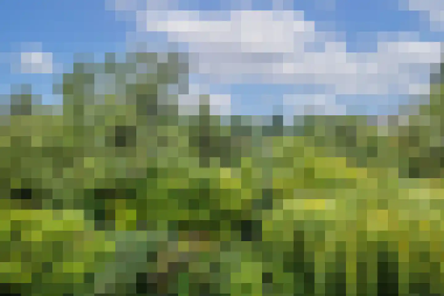 Sartreweg 54 Utrecht thumbnail 5