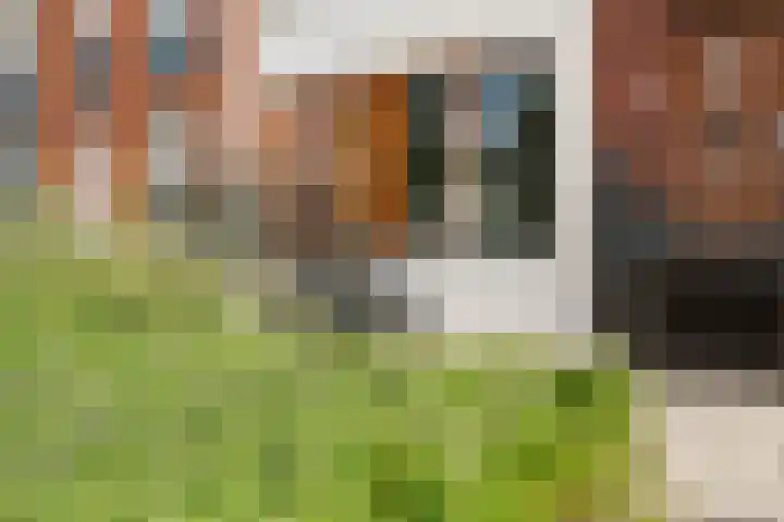 Sartreweg 97 Utrecht thumbnail 10