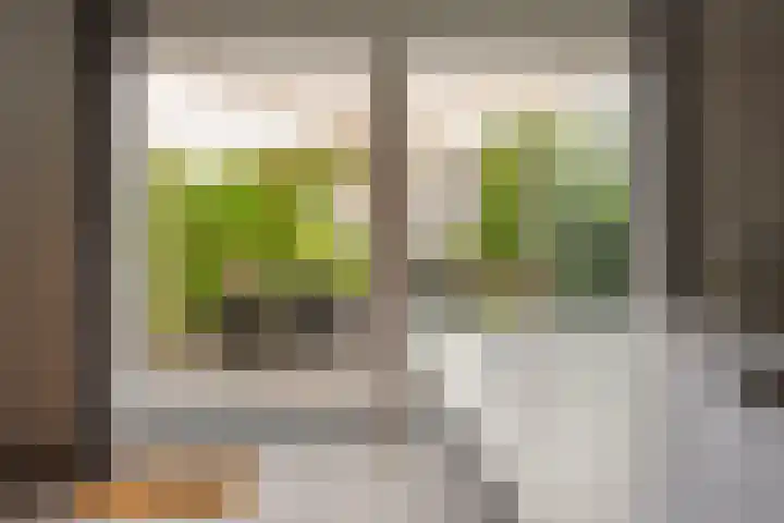 Sartreweg 97 Utrecht thumbnail 19