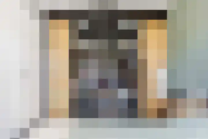 Sartreweg 97 Utrecht thumbnail 32