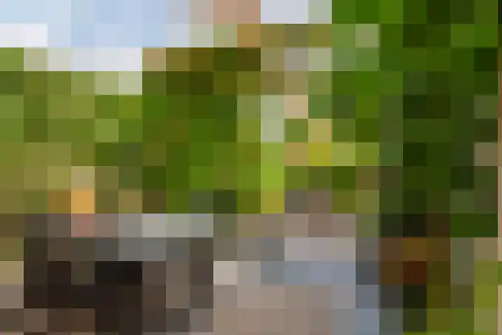 Sartreweg 97 Utrecht thumbnail 5