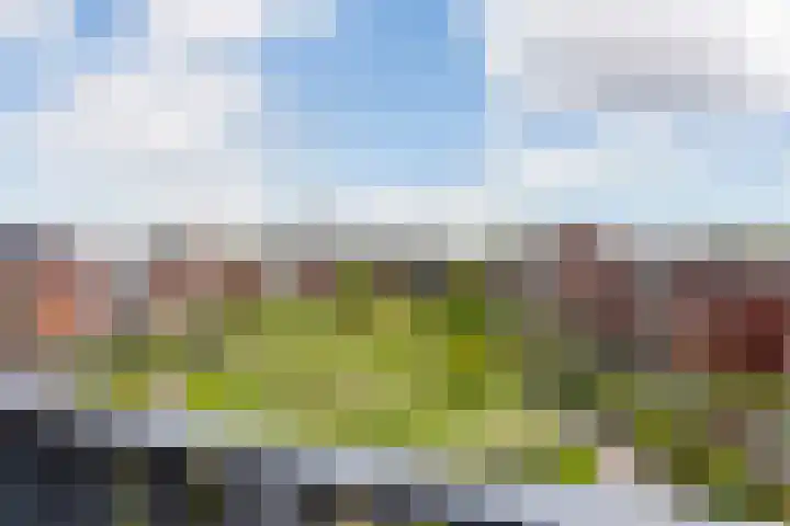 Sartreweg 97 Utrecht thumbnail 53