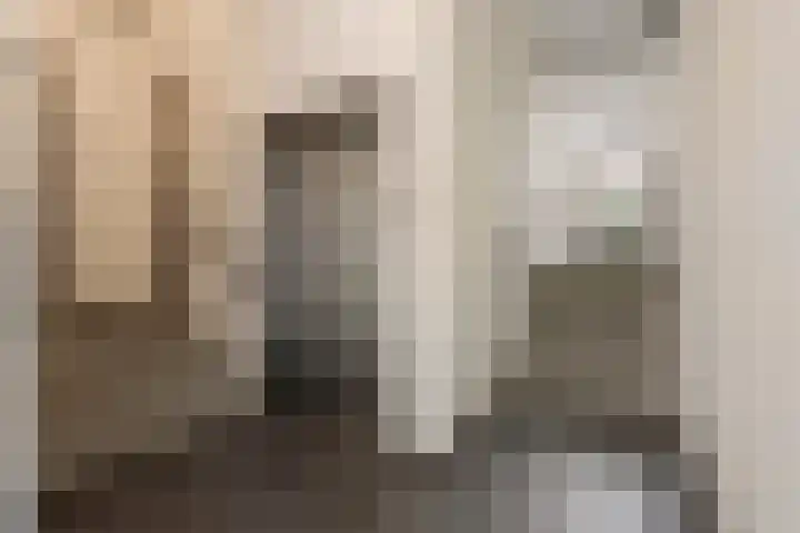 Sartreweg 97 Utrecht thumbnail 56