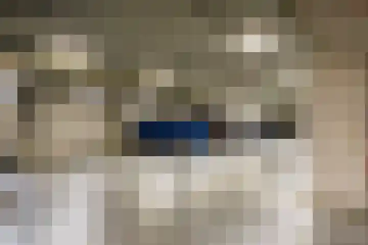 Sartreweg 97 Utrecht thumbnail 57