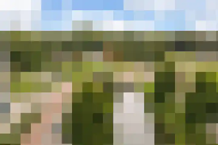Sartreweg 97 Utrecht thumbnail 63