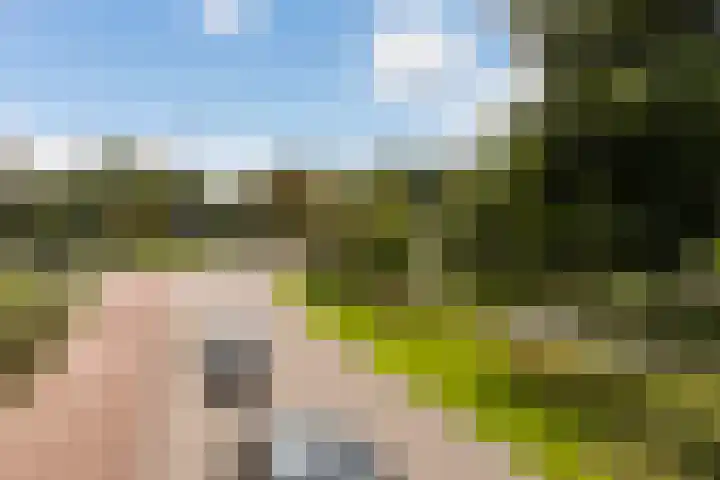 Sartreweg 97 Utrecht thumbnail 64