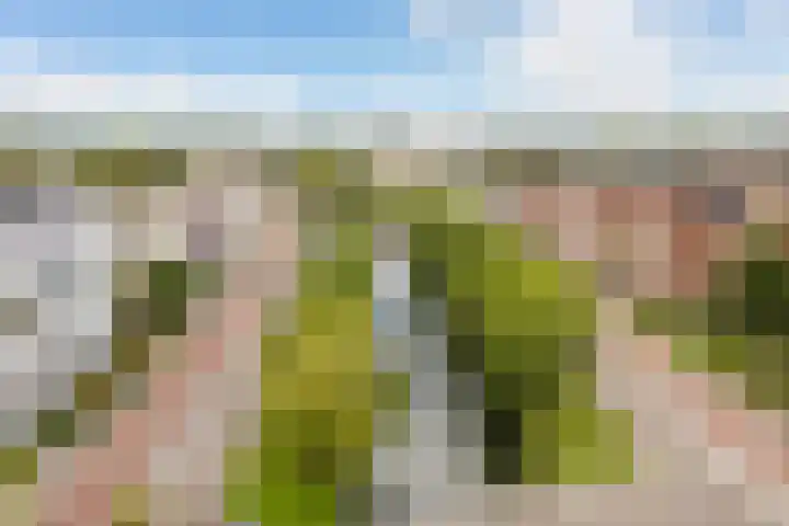 Sartreweg 97 Utrecht thumbnail 65
