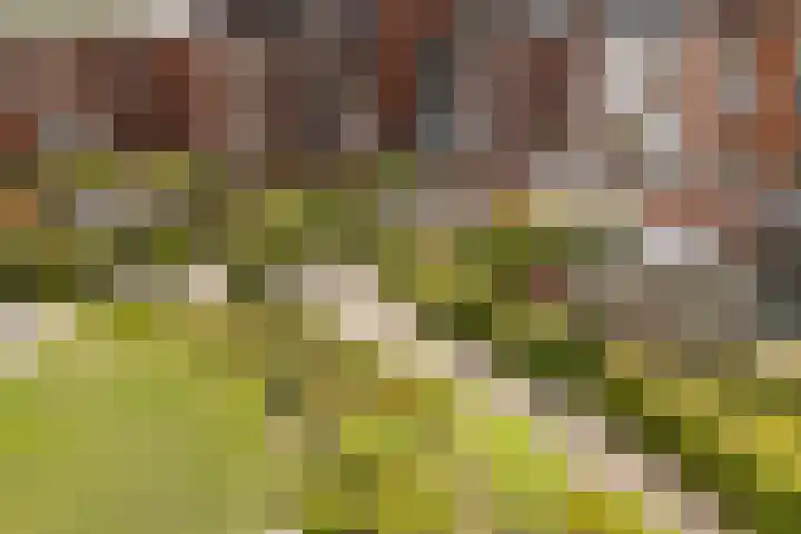 Sartreweg 97 Utrecht thumbnail 66