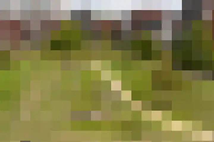 Sartreweg 97 Utrecht thumbnail 67
