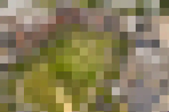 Sartreweg 97 Utrecht thumbnail 68